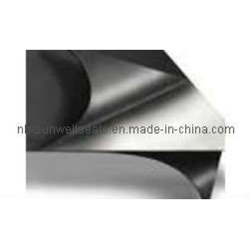 Graphite Sheet Reinforced with Metal Foil, Ss304, 316L, CS